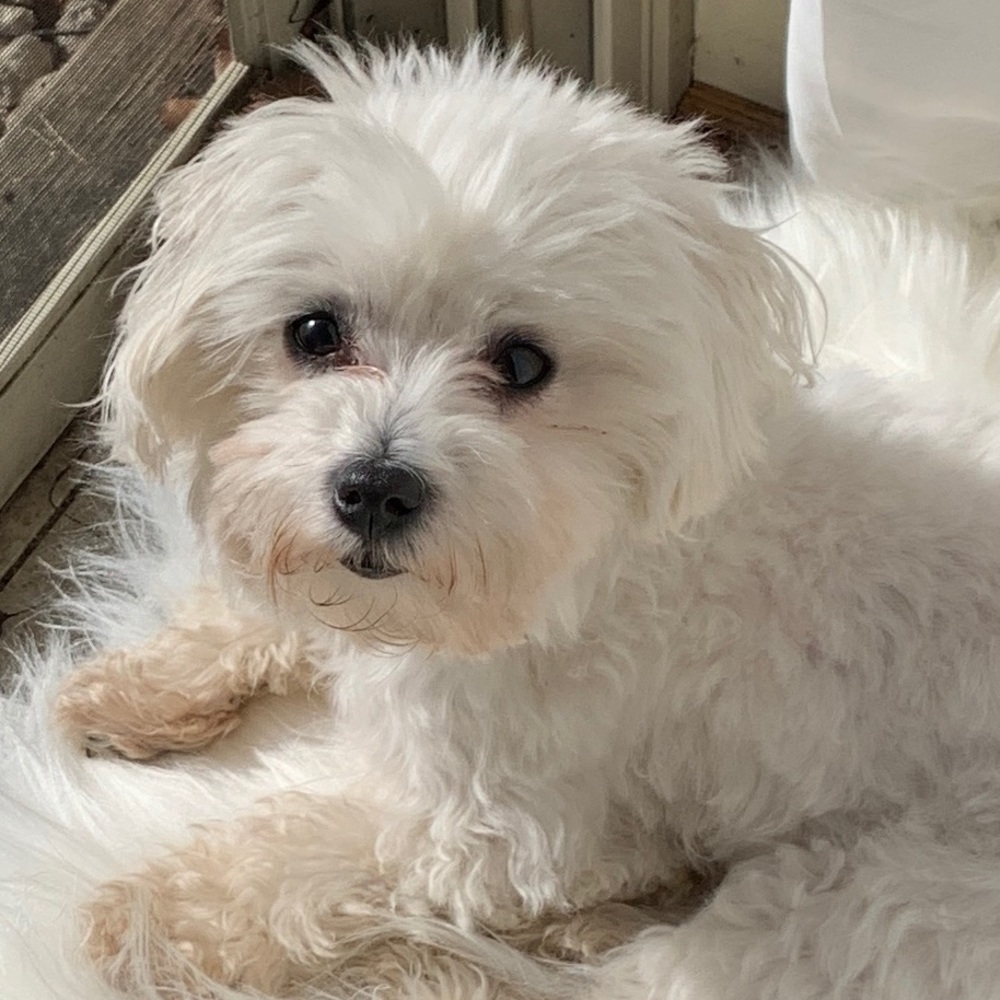 Meet your Posher, Chloe